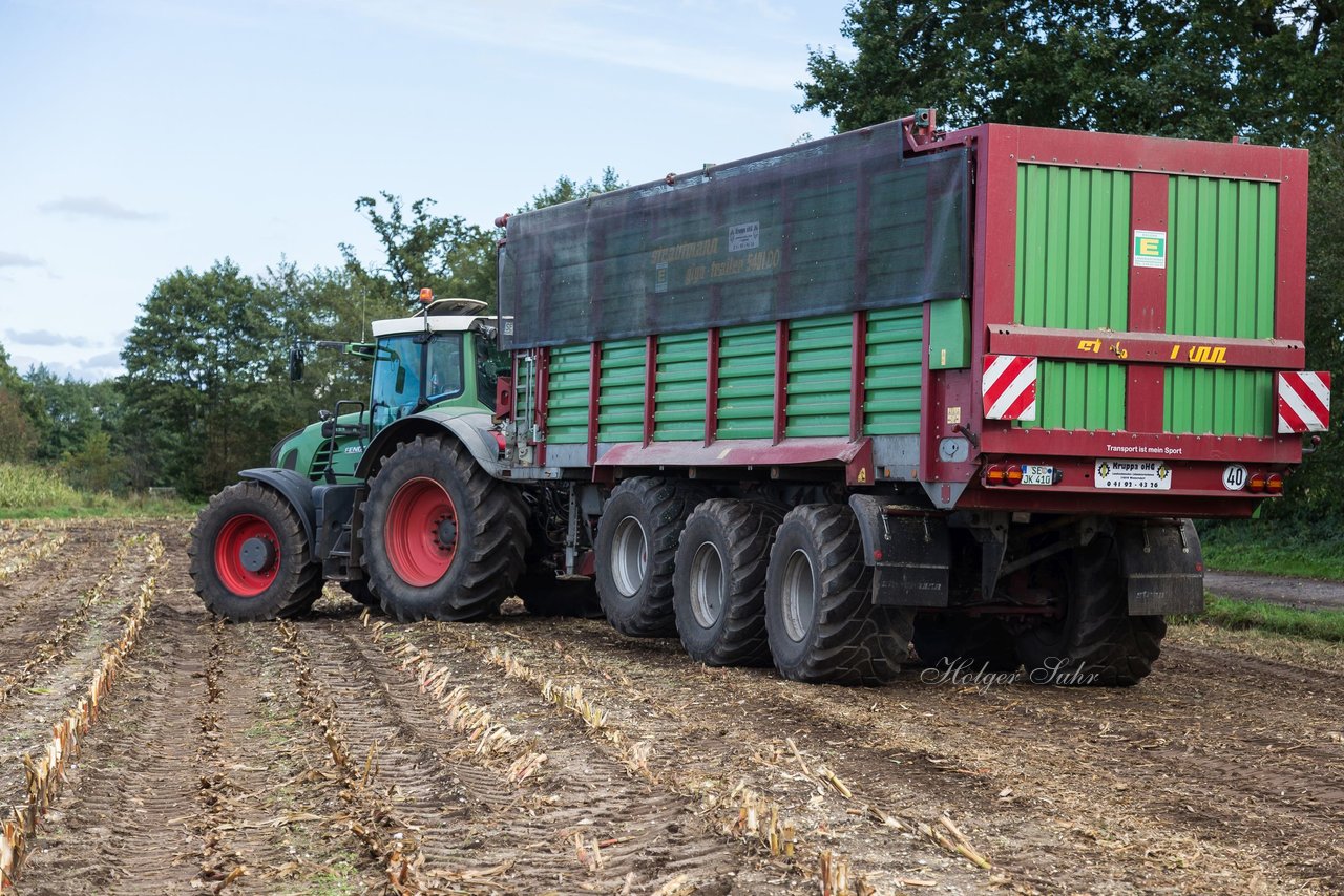 Bild 168 - Maisernte